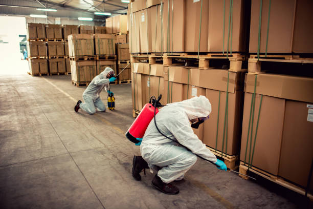 Best Best Pest Control Companies  in Kent, WA
