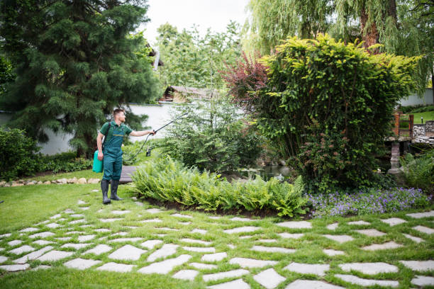 Best Residential Pest Control  in Kent, WA
