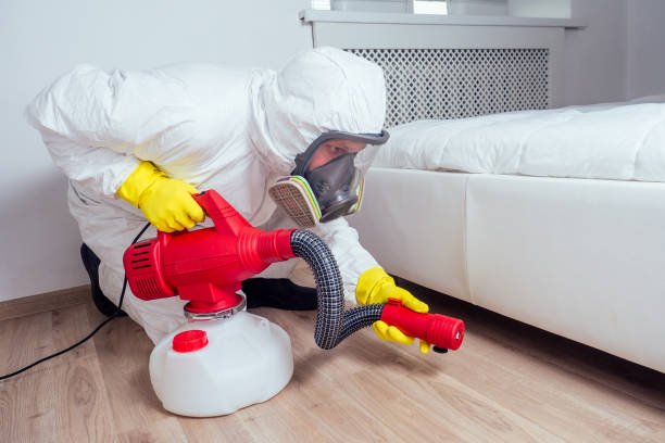 Best Emergency Pest Control  in Kent, WA