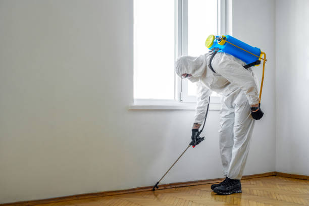 Best Affordable Pest Control Services  in Kent, WA