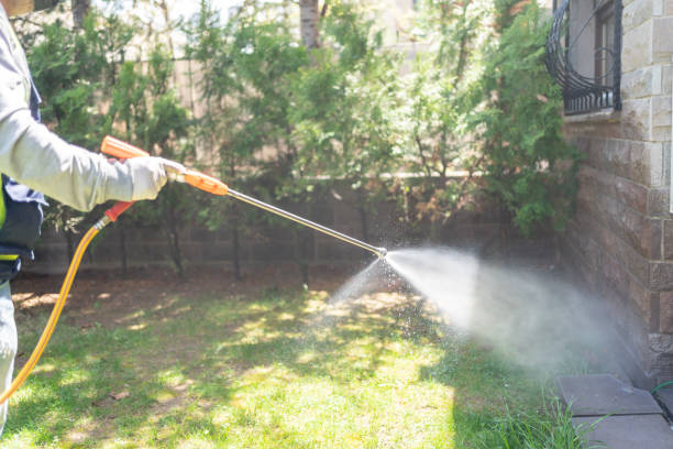 Best Insect Control  in Kent, WA