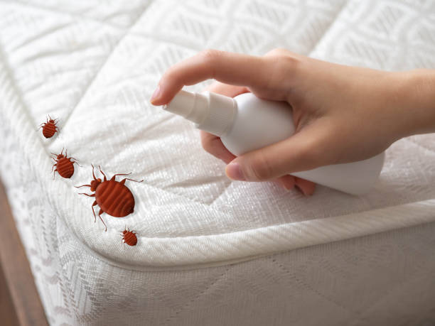 Best Bed Bug Extermination  in Kent, WA
