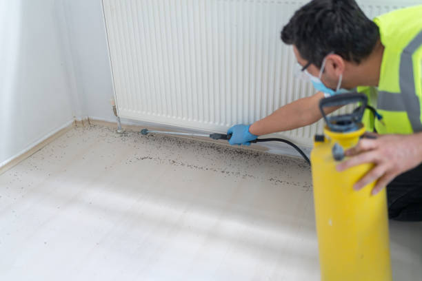 Best Exterminator Services  in Kent, WA